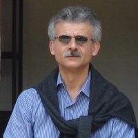 Hemin  Koyi related author profile picture
