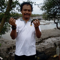 Achmad Room Fitrianto related author profile picture