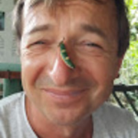 Marian Brestic related author profile picture