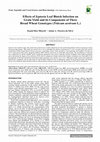 Research paper thumbnail of Effects of Septoria Leaf Blotch Infection on Grain Yield and its Components of Three Bread Wheat Genotypes (Triticum aestivum L.)