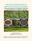 Research paper thumbnail of THE GREAT GREEN HOPE ON HOW TO CULTIVATE WILD RICE: A Strategic Blueprint for Wild Rice Cultivation in the Department of Artibonite in HAITI