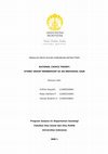Research paper thumbnail of RATIONAL CHOICE THEORY ETHNIC GROUP MEMBERSHIP AS AN INDIVIDUAL GAIN.pdf