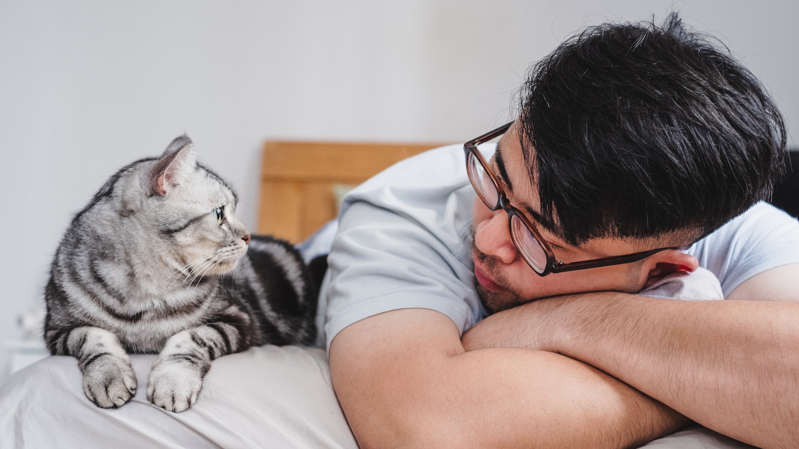 Cat and man lying on a bed looking at each other