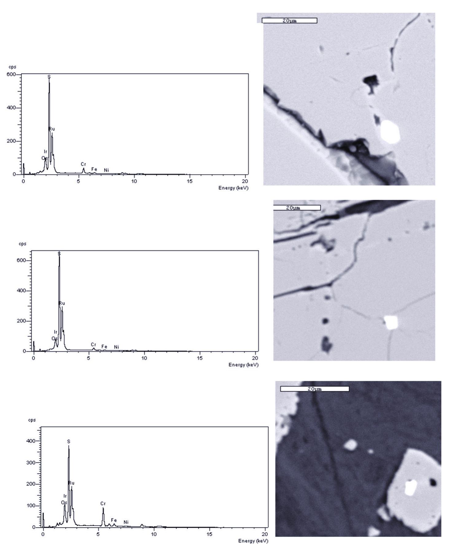 Fig. 4. Backscattered images of some chromite grains contain platinum-group minerals (PGM). 