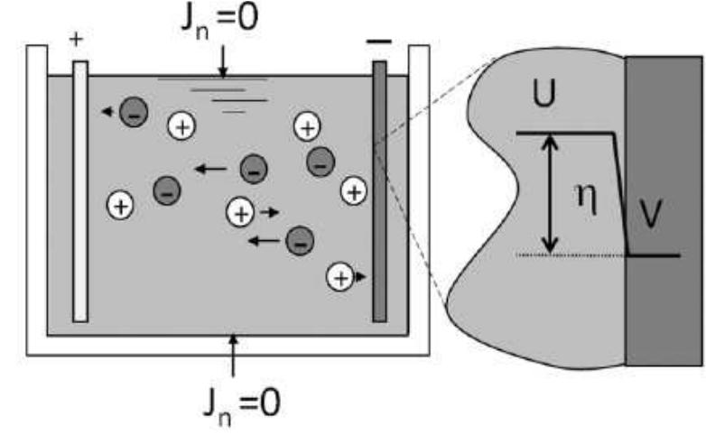 The boundary conditions in equation (1) are divided into insulators an electrodes [2, 7, 8]. As no current can flow through the gaseous medium in contac with the electrolyte and electrochemical cells walls (the normal current density J, 1 zero, see Fig. 1):  Fig. 1 — Boundary conditions at the electrodes [10]. 