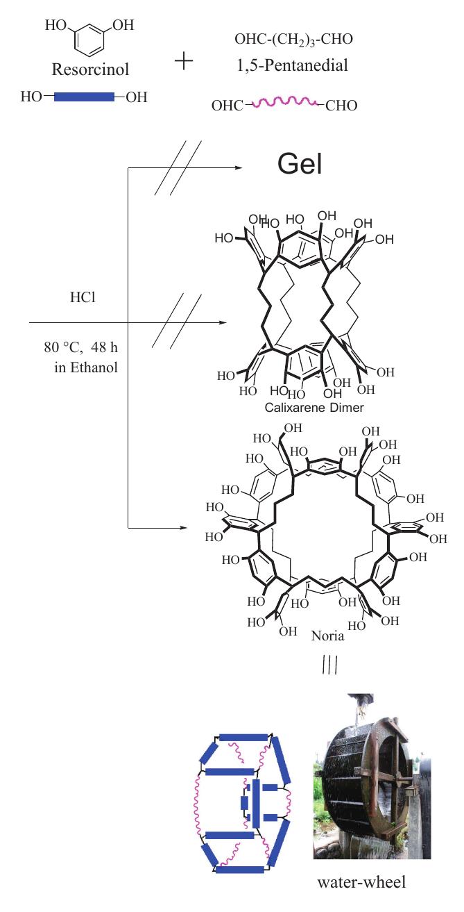 Scheme 2. Reaction of resorcinol and 1,5-pentanedial.  Only cross-linked products could be obtained at reaction temperatures below 40°C, but the amount of cross-linked products decreased as the reaction temperature was increased, and only a soluble product was obtained in 20% yield at 80°C. "HNMR, '3CNMR, IR, and MALDI-TOF mass spectroscopic 