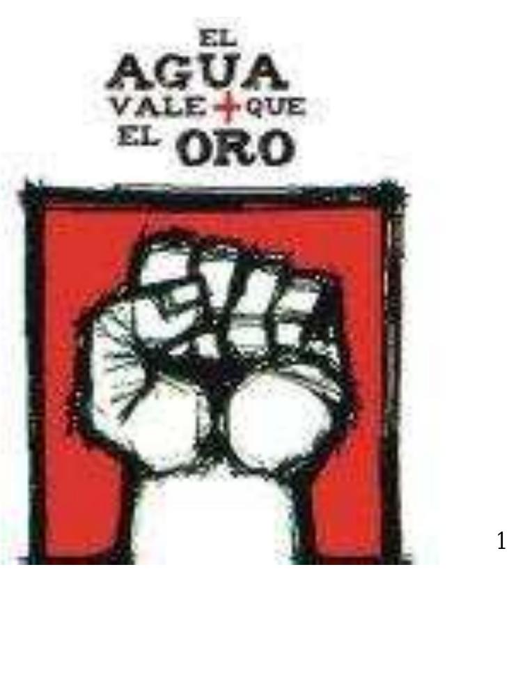 In Defense of L ife: The Oppressed Organize A gainst Mega-Mining in Argentina 