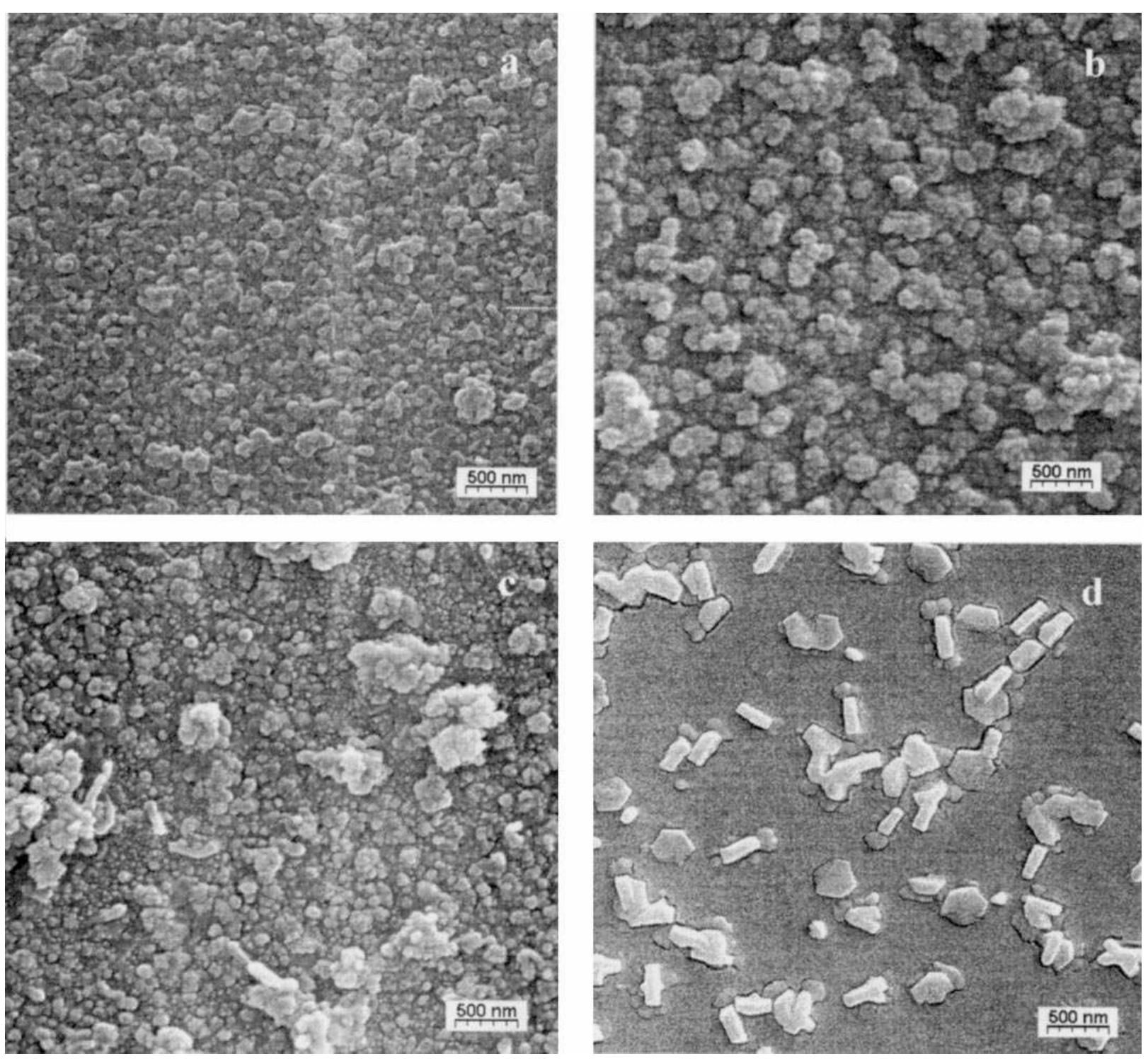 Fig. 5. Scanning electron micrographs of Nb,O, films: (a) undoped Nb,Os, (b) 0.2 mol% TiO;, (c) 1.0 mol% TiO, and (d) 10.0 mol%. Magnification x 20 000. 