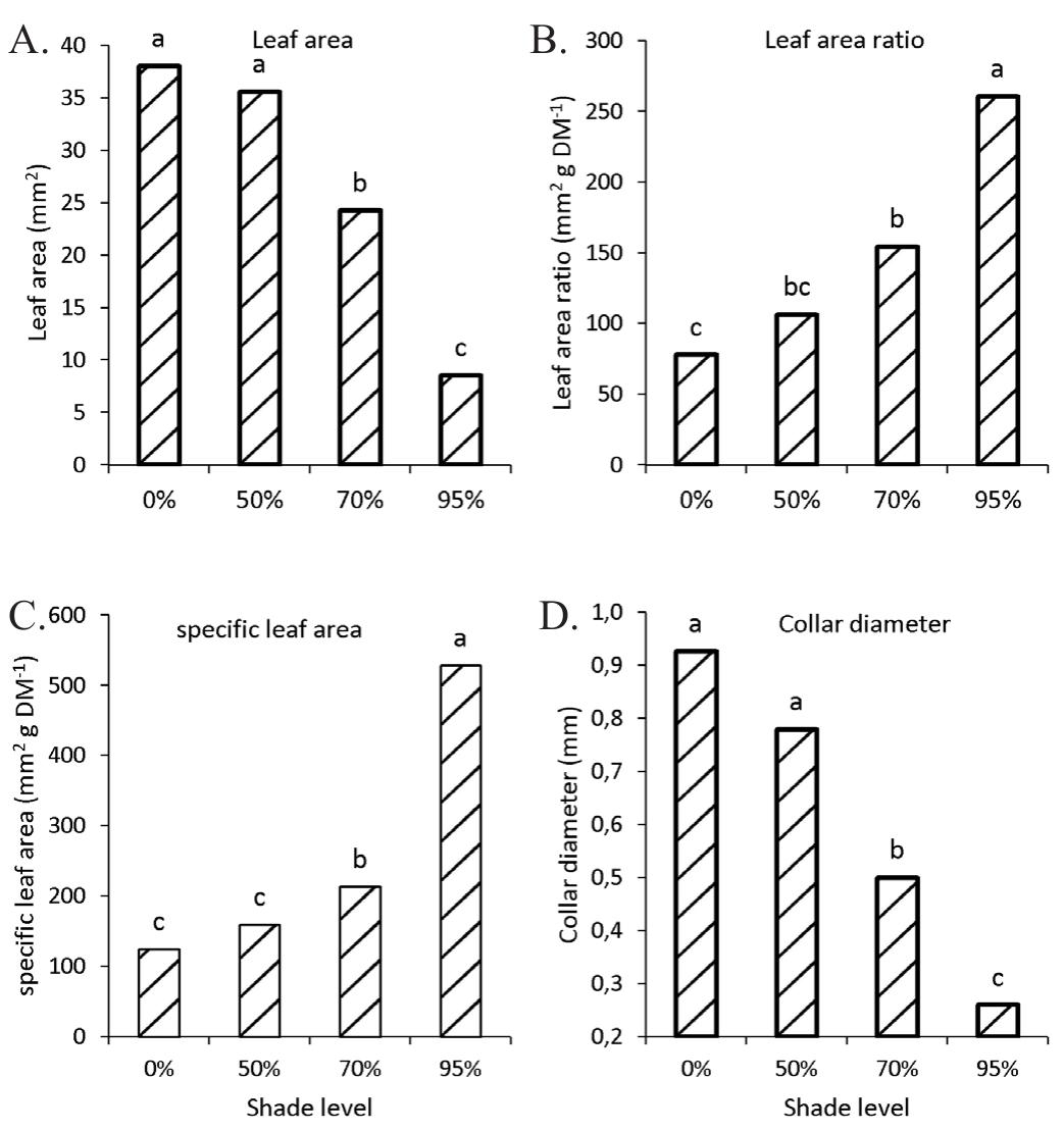 The increase in leaf area may be one o  f the mechanisms used  by plants to increase the photosynthetic surface, ensuring more efficient photosynthetic performance under low light intensity  and thus compensating for the low rate o  f net CO, assimilation  per unit of leaf area, a characteristic of shaded leaves (Gordon, 1969). However, in plants subjected to environments with more  light, the leaf area is decreased, which is given that less leaf material is exposed  beneficial to the plant to potential damages 