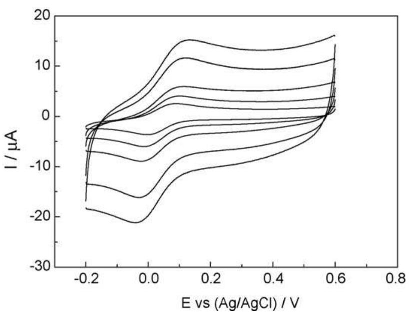 Acknowledgements  Fig. 6. CVs recorded at a nanostructured gold electrode in a solution containing 0.6 mM cyt c and 5mM 4,4’-bipyridyl in 0.01 M PBS at a sweep rate of 20, 50, 100, 200 and 300 mVs-!. 