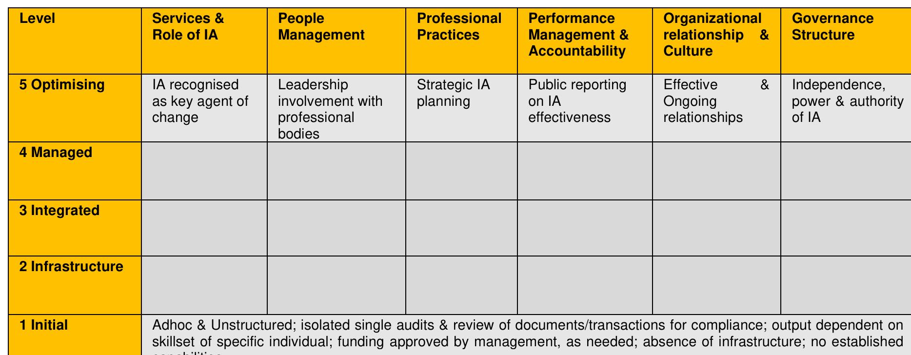 Internal Audit Capability Model (IA-CM) matrix 