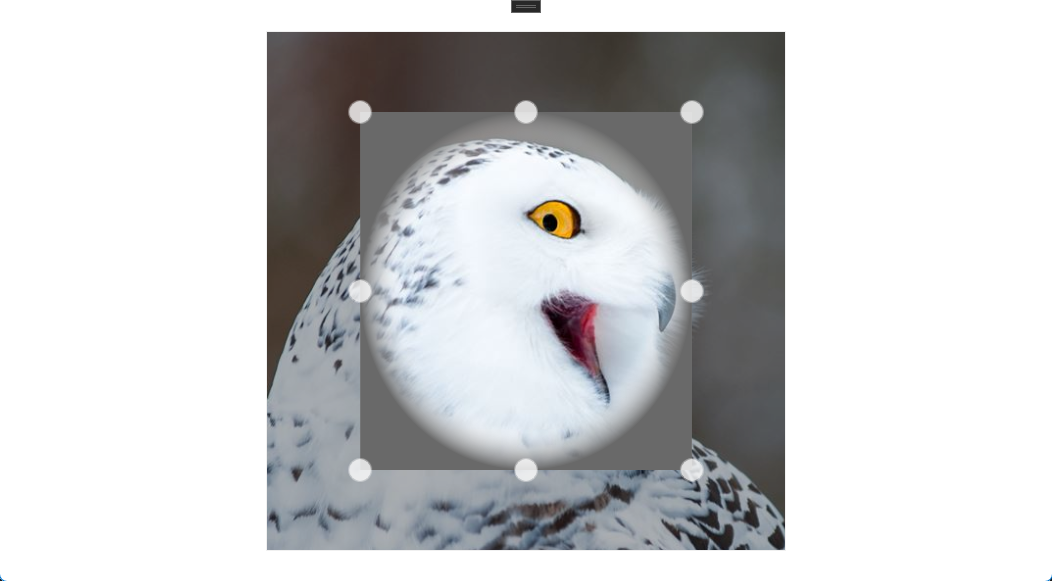 ImageCropper