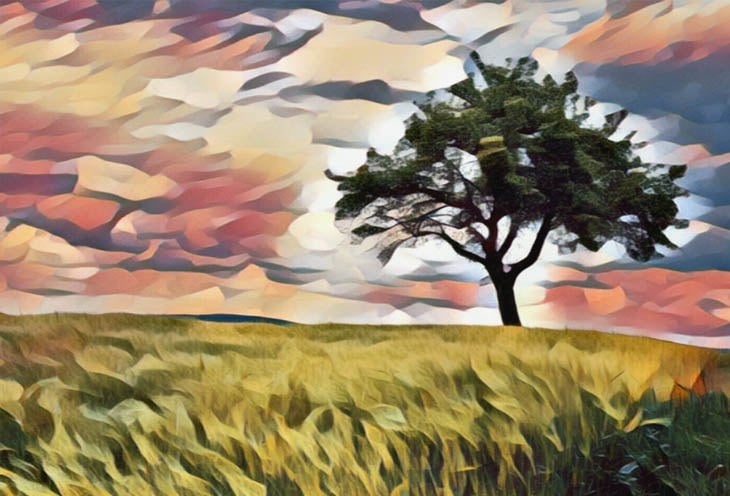 Animatiefoto van boom