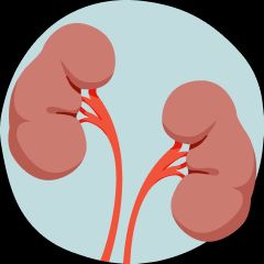 Chronic Kidney Disease