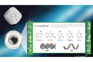 JAMSTECなど、リュウグウからDNA/RNAの核酸塩基全5種を発見