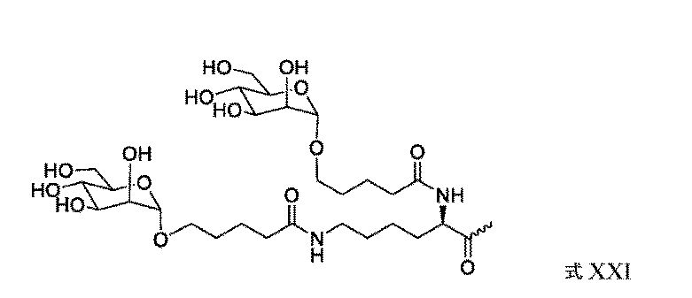 Figure 0007625512000010