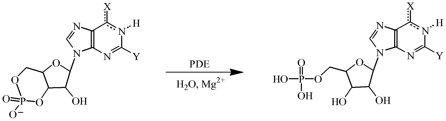 Figure imgf000003_0001
