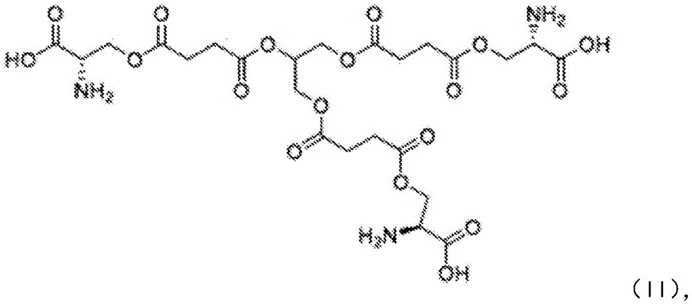Figure BDA0002423378760000031