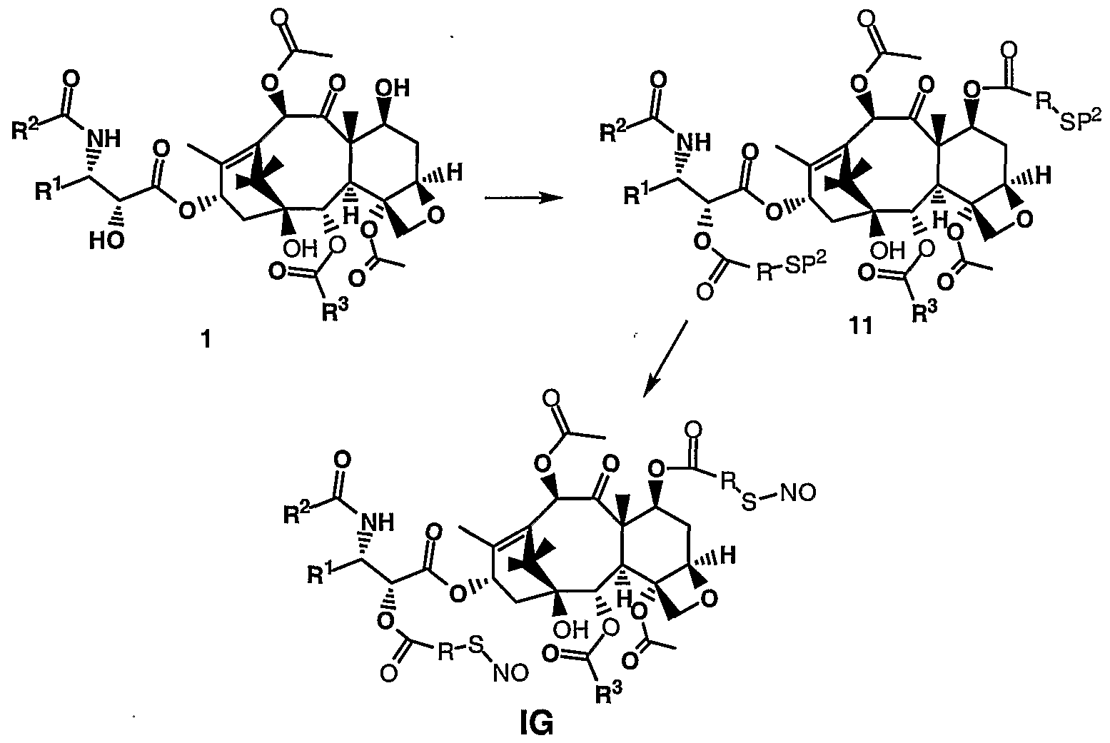 Figure imgf000032_0001
