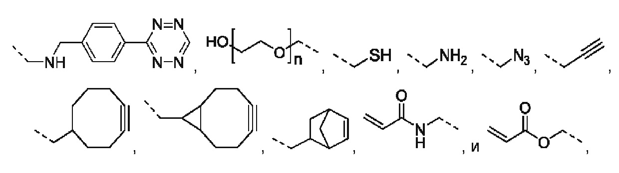 Figure 00000061