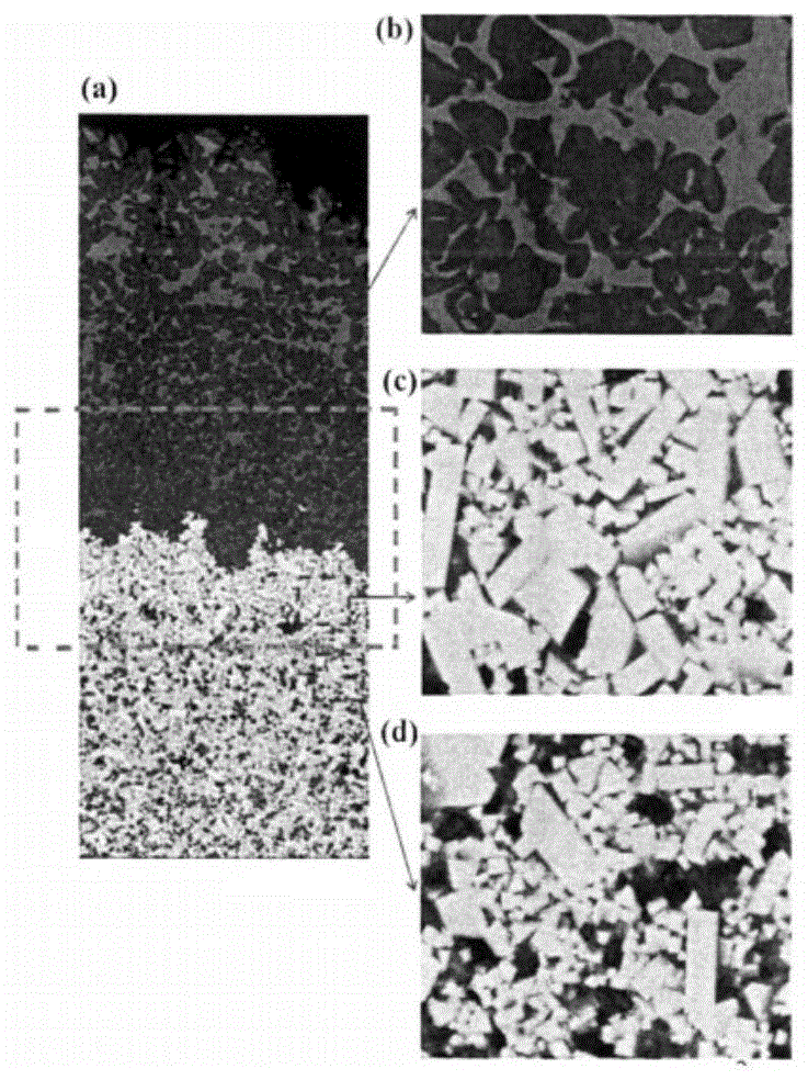 Figure 202010265866