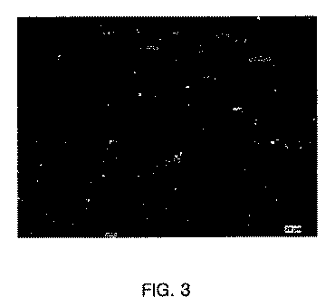 Figure 0005764498