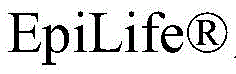 Figure BDA0002103118210000232