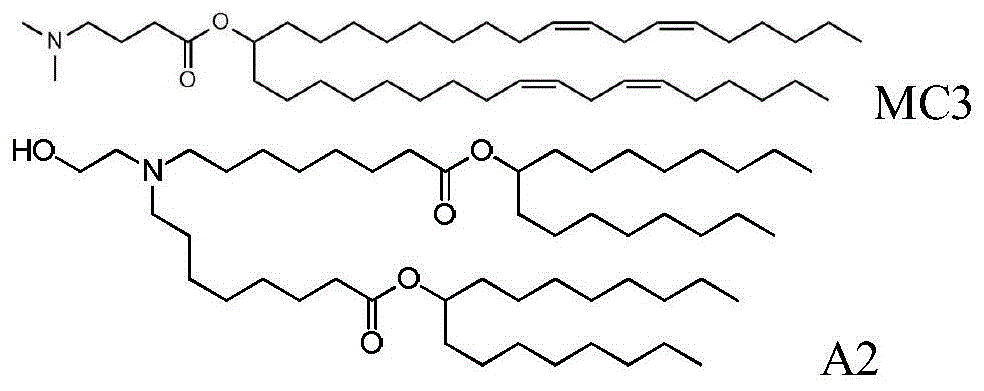 Figure BDA0003096168540000362