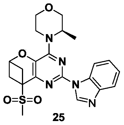 Figure PCTCN2019119899-appb-000130
