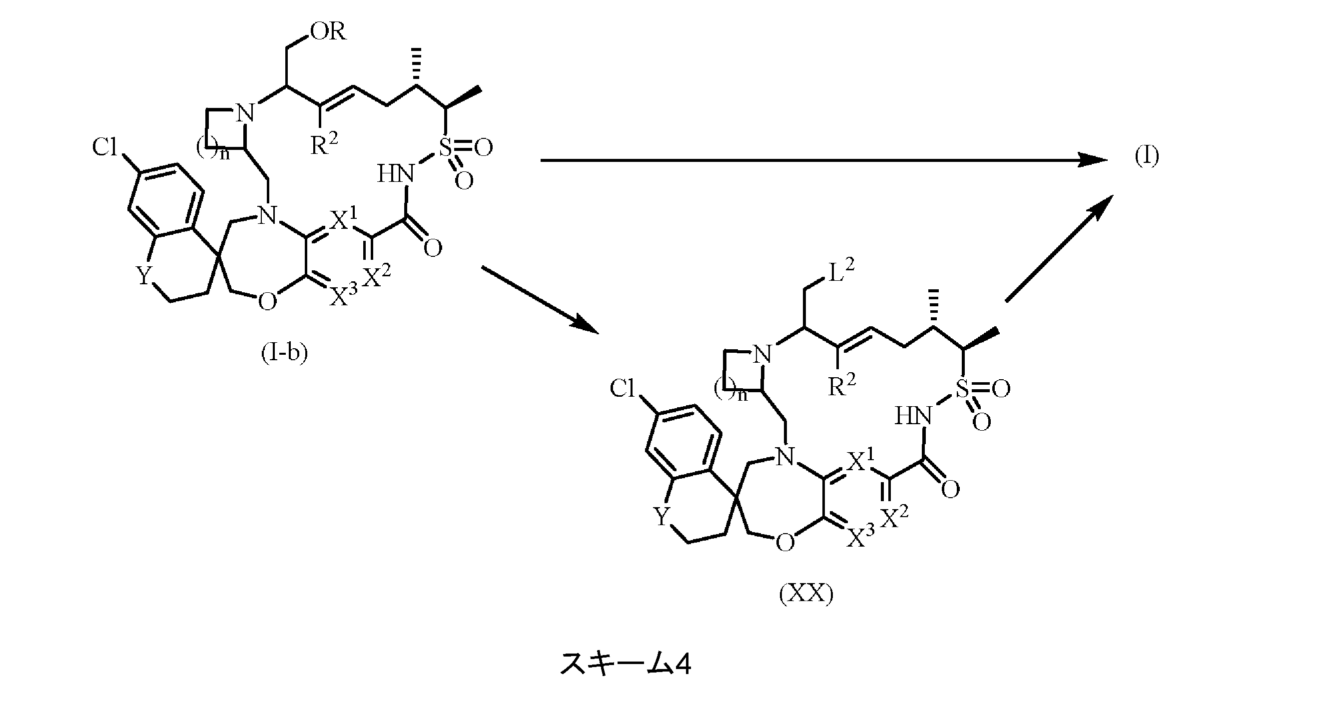 Figure 2022540825000010