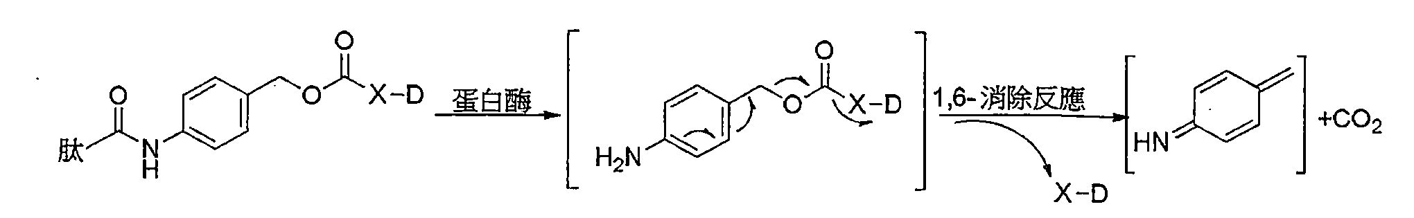 Figure 106118956-A0202-12-0211-314