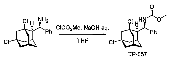 Figure JPOXMLDOC01-appb-C000013
