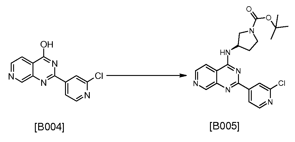 Figure pct00229