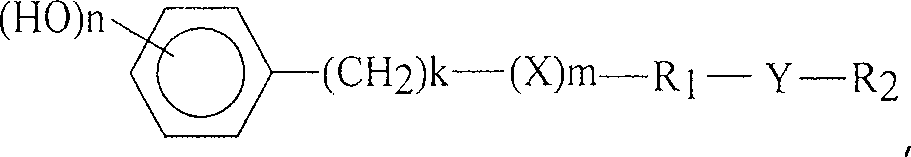 Figure C200410099746C00041