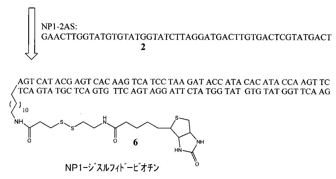 Figure 0007079092000019