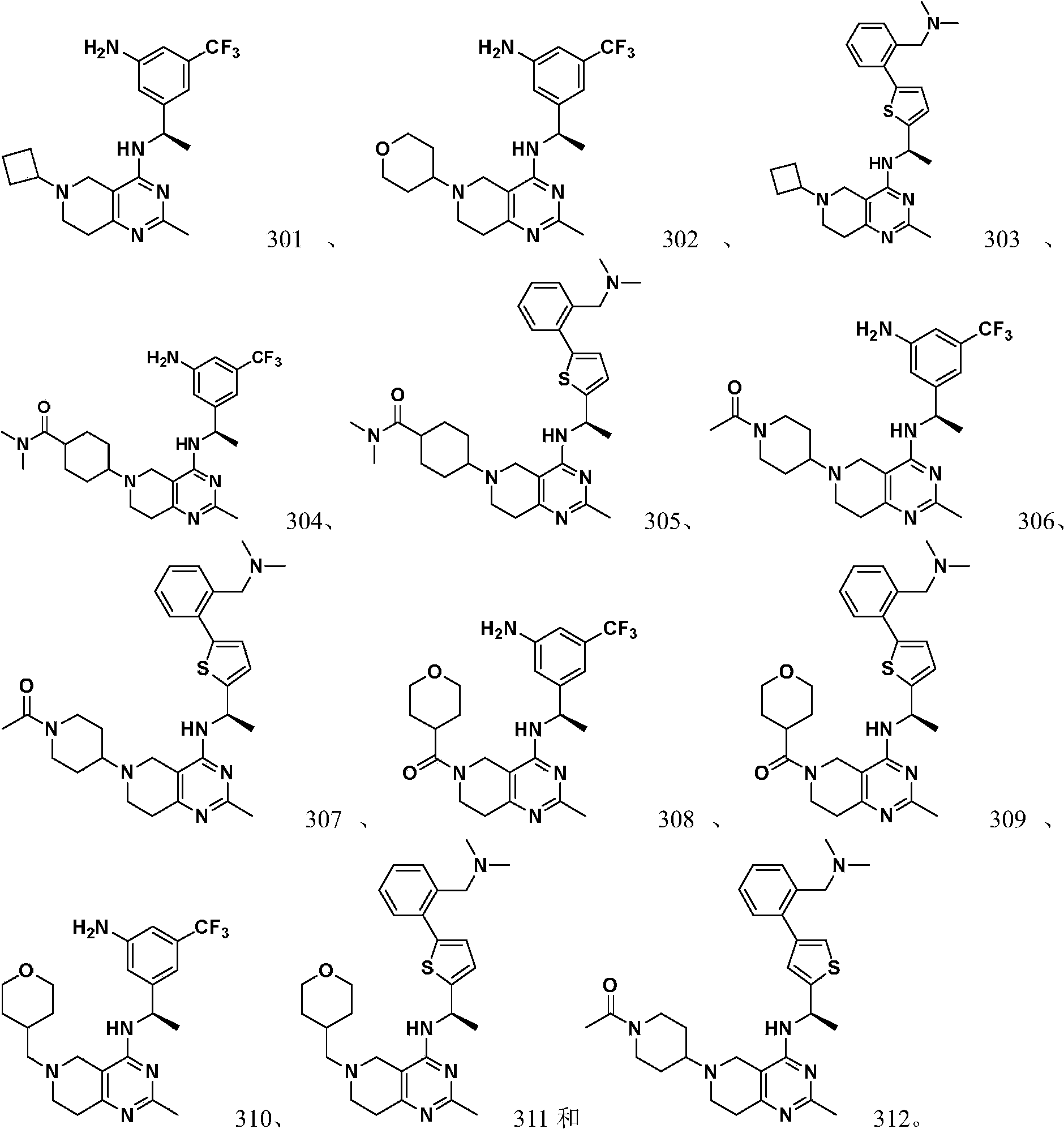 Figure PCTCN2021110746-APPB-100011