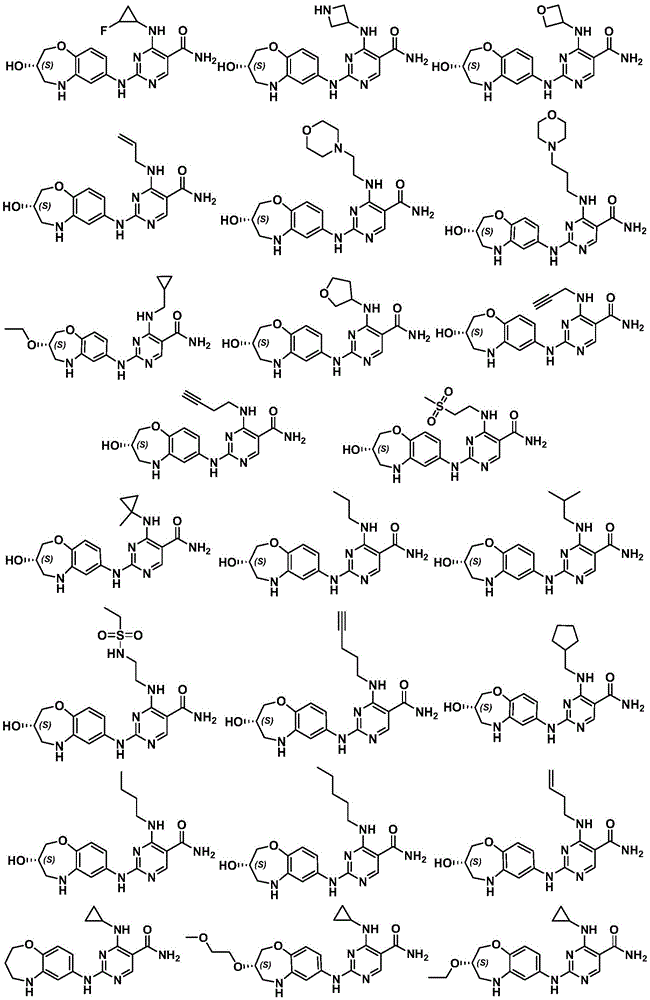 Figure FDA0003855853530000091