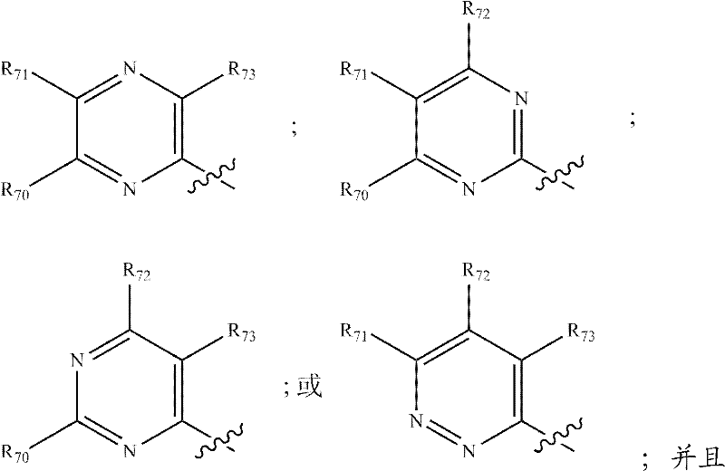 Figure FDA0000073912980000051