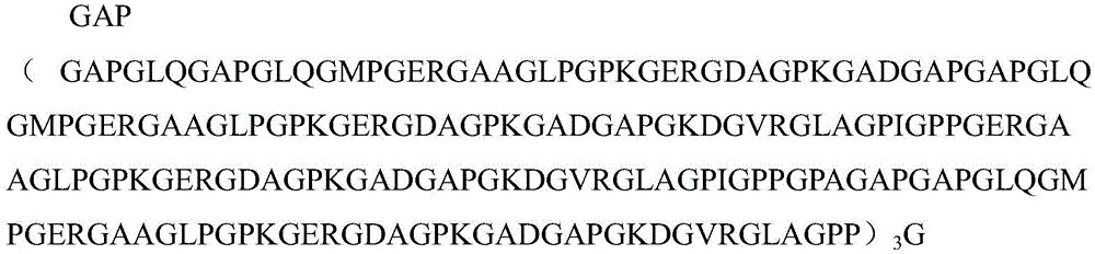 Figure BDA0004060541490000221
