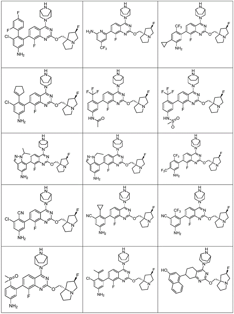 Figure FDA0003616036720000211