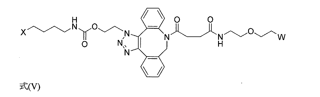 Figure 2022544817000051