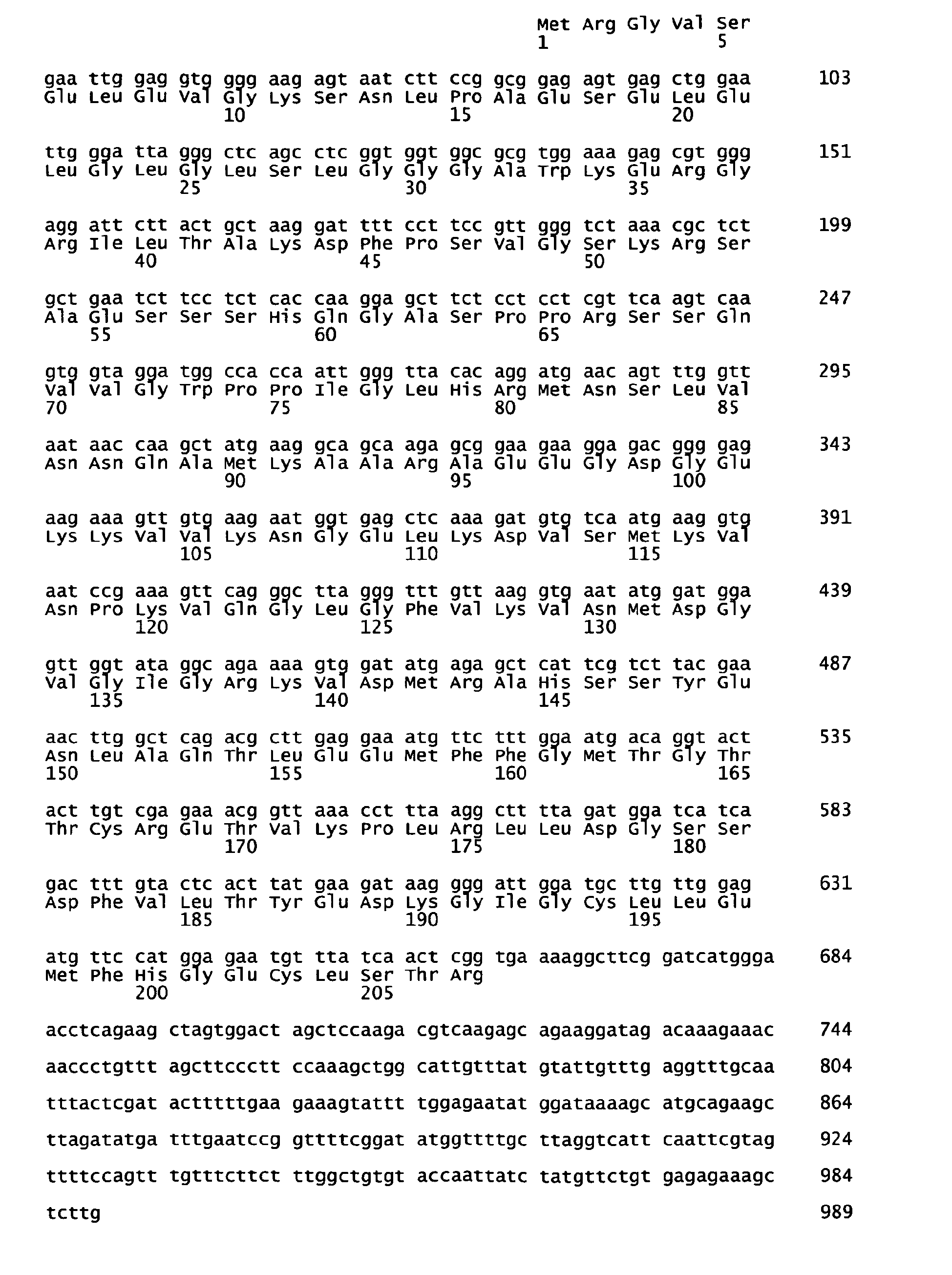 Figure imgb0019