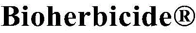 Figure BDA00028179822100013224
