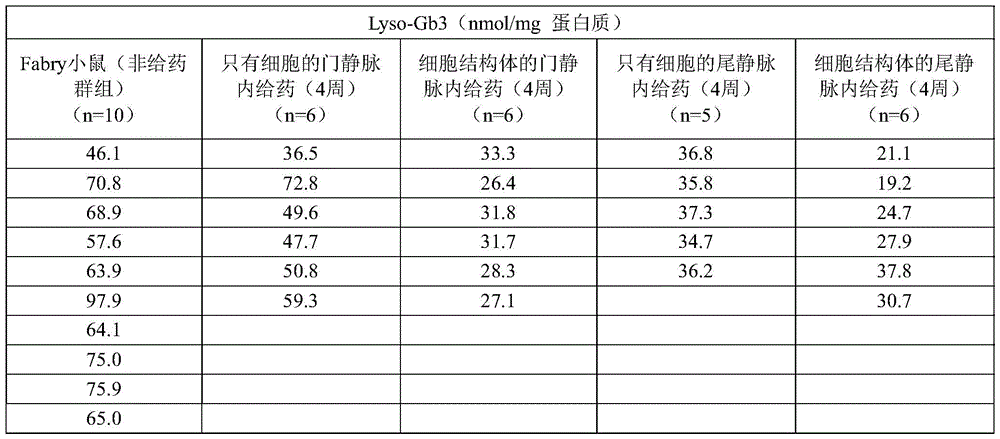 Figure BDA0004060541490000341