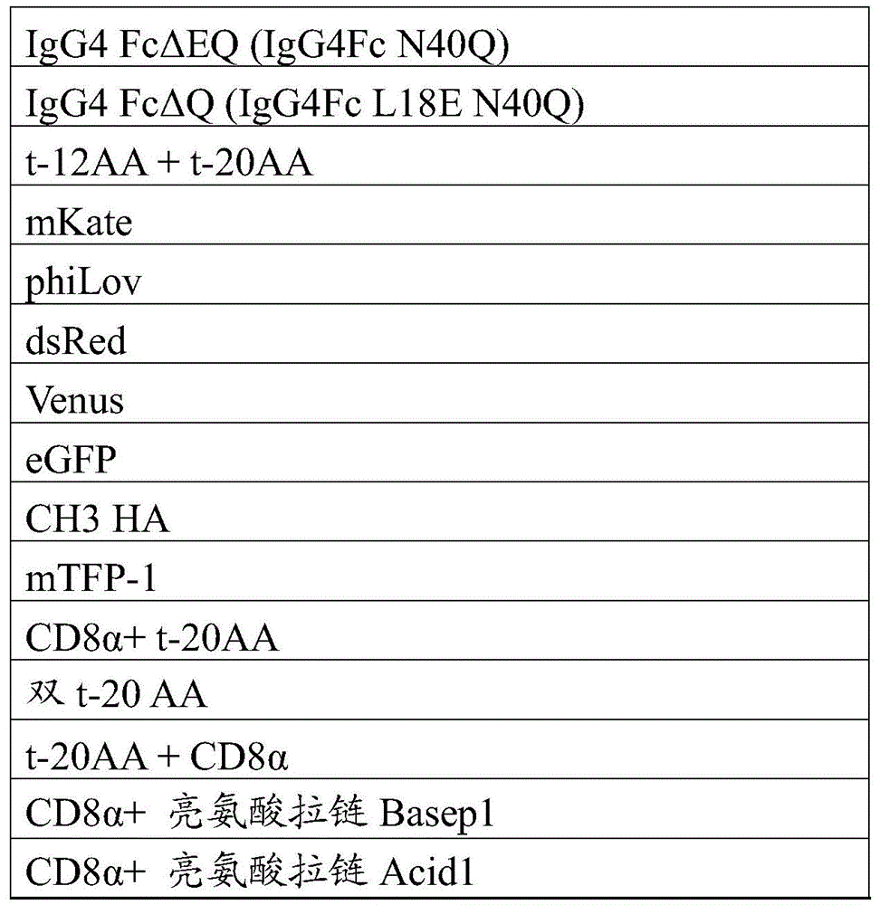 Figure BDA0002506020640000191