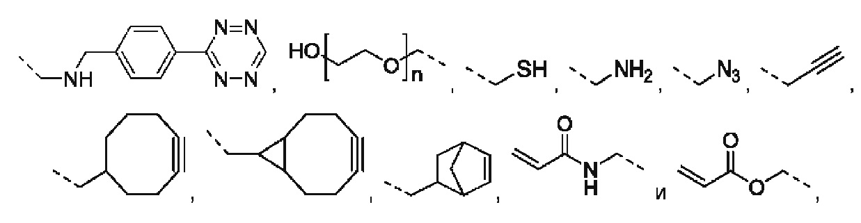 Figure 00000058