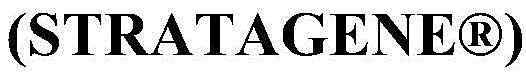 Figure BDA0002506020640000281