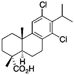 Figure 2009209068