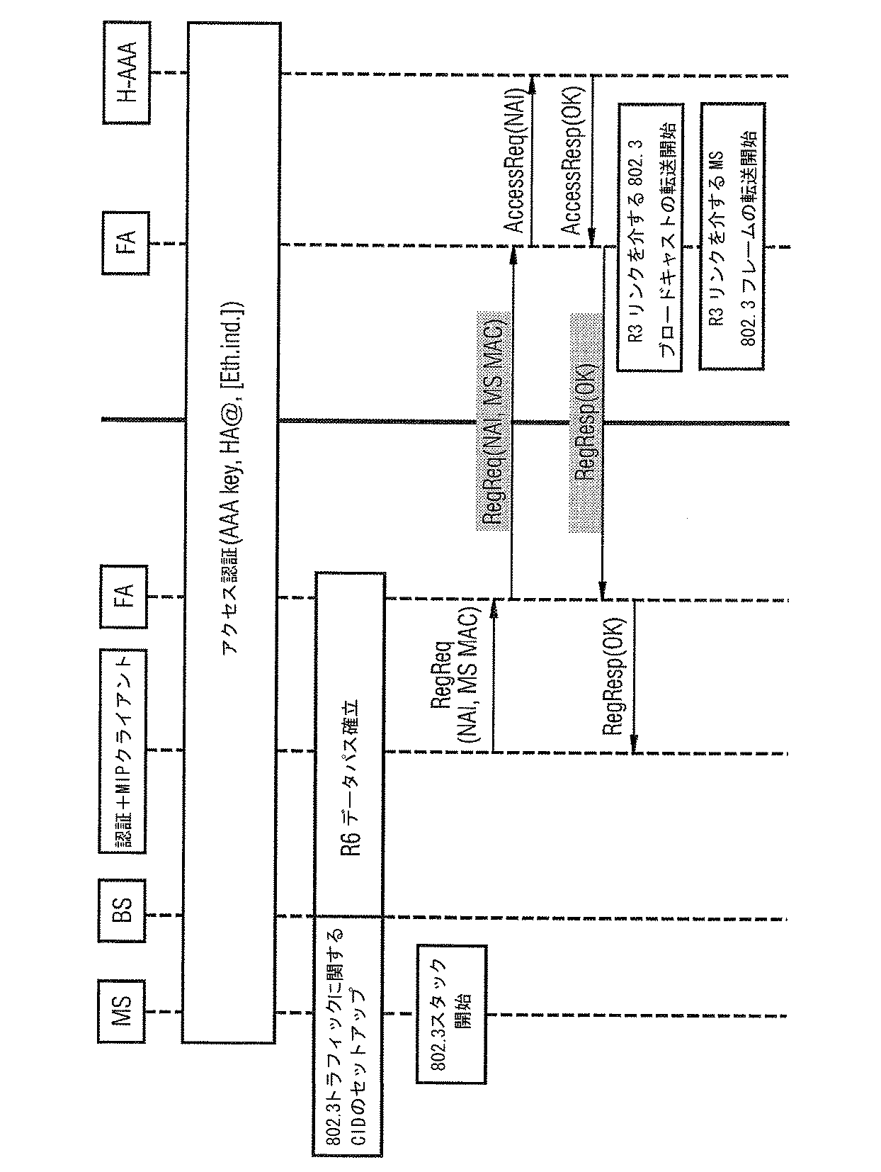Figure 0004909357