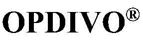 Figure BDA0002506020640000421